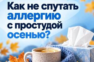 Влажная опавшая листва скрывает особую опасность